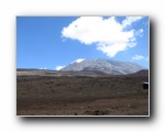 Kili (151) look back